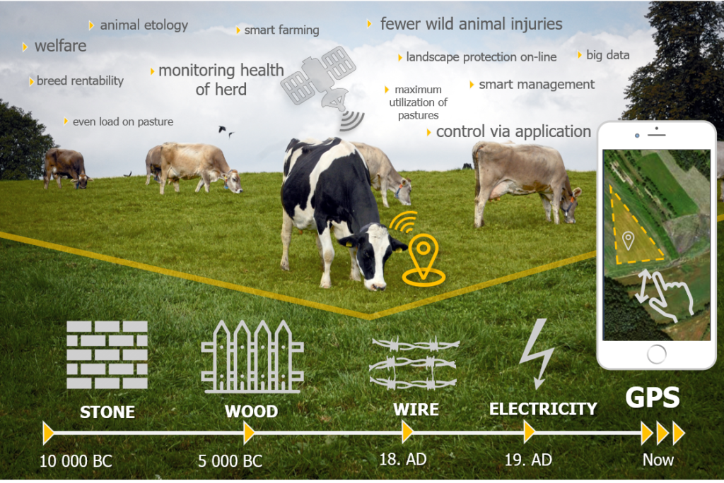 Industry 4.0 in animal nutrition